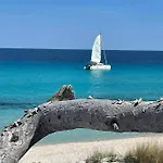 Les Palmiers -stretta Di I Mandarini