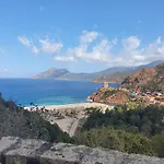 Les Palmiers -stretta Di I Mandarini *