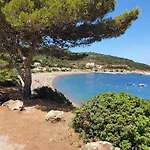Les Palmiers -stretta Di I Mandarini *