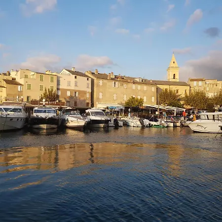 Les Palmiers -stretta Di I Mandarini