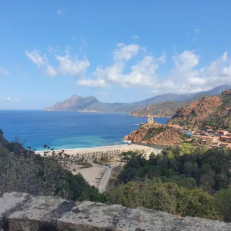 Les Palmiers -stretta Di I Mandarini *