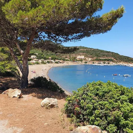 Les Palmiers -stretta Di I Mandarini *