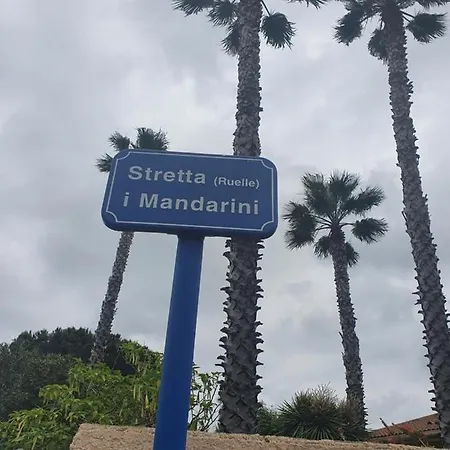 Les Palmiers -stretta Di I Mandarini * 鲁西亚纳