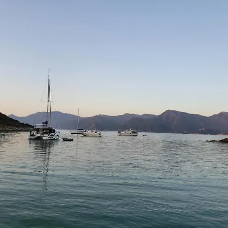 Les Palmiers -stretta Di I Mandarini Apartmán Lucciana (Corsica)