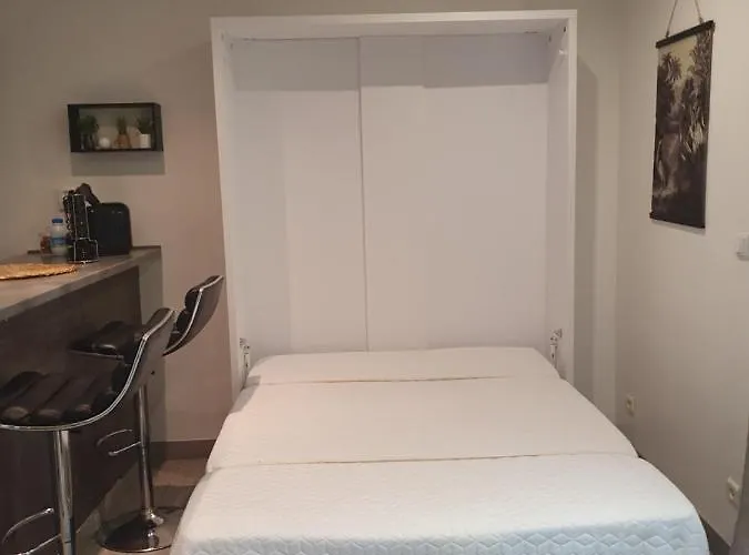 Les Palmiers -stretta Di I Mandarini * Lucciana (Corsica)