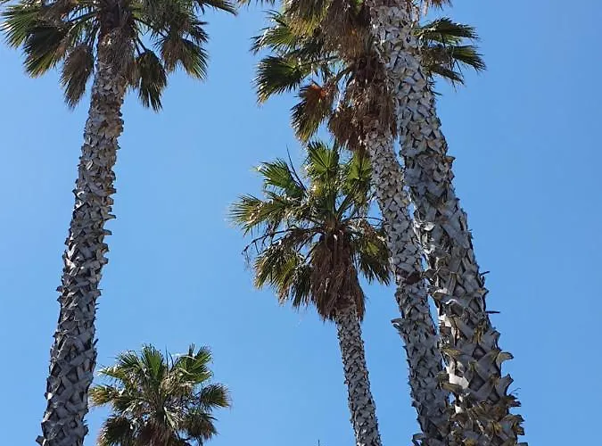 Lejlighed Les Palmiers -stretta Di I Mandarini