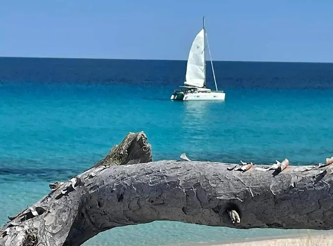 Les Palmiers -stretta Di I Mandarini