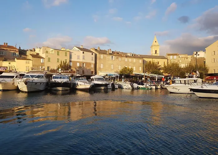 Les Palmiers -stretta Di I Mandarini