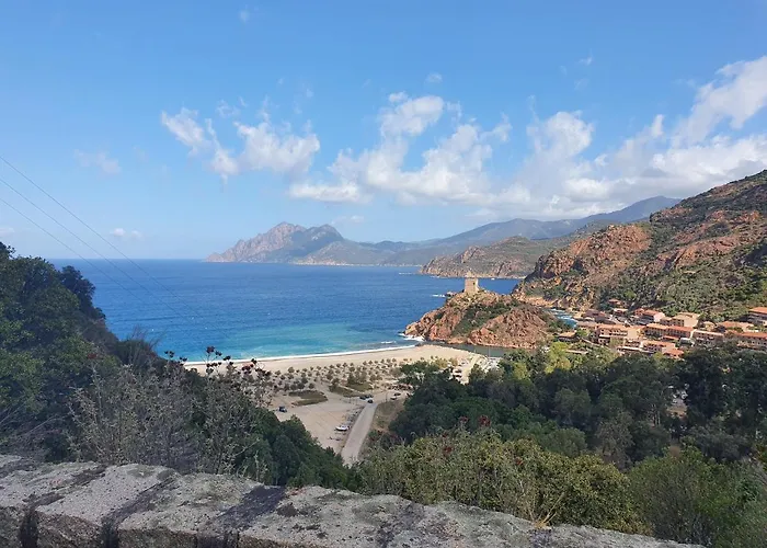 Les Palmiers -stretta Di I Mandarini *