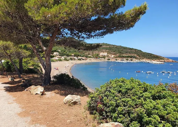 Les Palmiers -stretta Di I Mandarini *