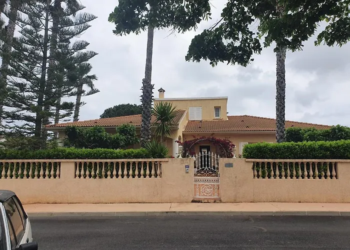 Les Palmiers -stretta Di I Mandarini *