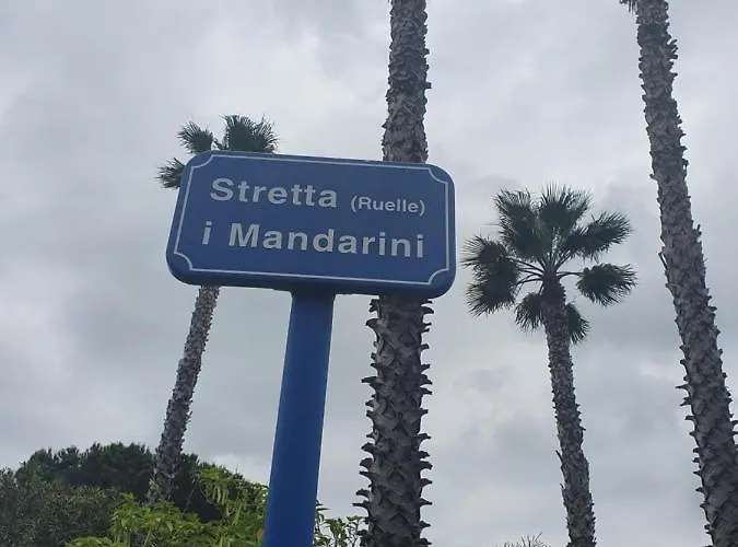 Les Palmiers -stretta Di I Mandarini * Lucciana (Corsica)