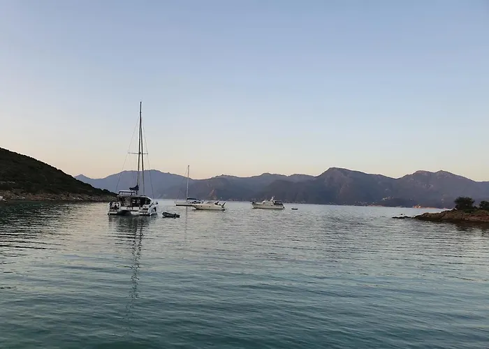 Les Palmiers -stretta Di I Mandarini Lejlighed Lucciana (Corsica)